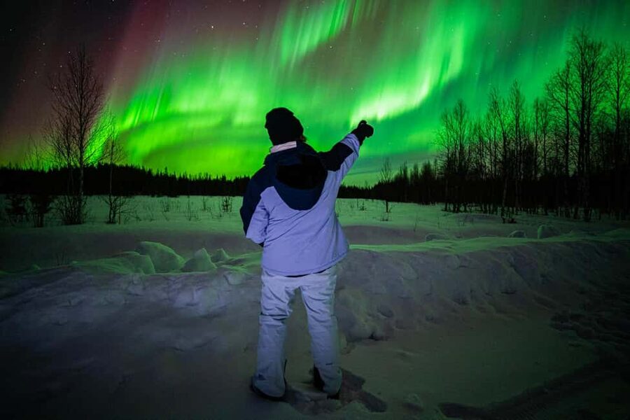 Rovaniemi: Guaranteed Aurora Hunt with Local Guides & Photos - How the 8-hour van tour works, from Rovakatu pickup to the hunt stops