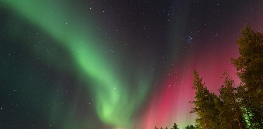 Rovaniemi: Guaranteed Aurora Hunting Tour with Local Guide - Price and value at $159 per person