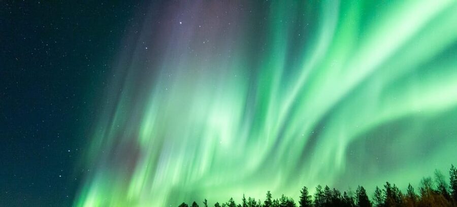 Rovaniemi: Guaranteed Aurora Hunting Tour with Local Guide - Who should book this Aurora hunt, and who should skip it