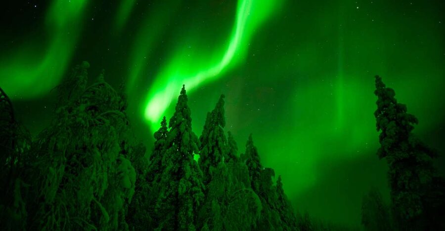 Rovaniemi: Guaranteed Northern Lights Hunting Adventure - Up to 350 kilometres from Rovaniemi, and it can go beyond Finland