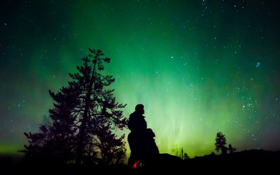Rovaniemi: Guided Northern Lights Tour - Why the dark-sky drive from Rovaniemi is the real star