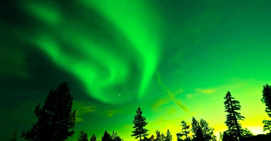 Rovaniemi: Guided Northern Lights Tour - Price and value at about $84 per person