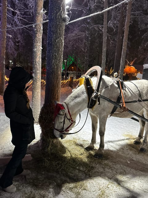 Rovaniemi: Guided Tour of Santa Claus Village - Meeting at the Arctic Circle Information desk, then getting oriented fast