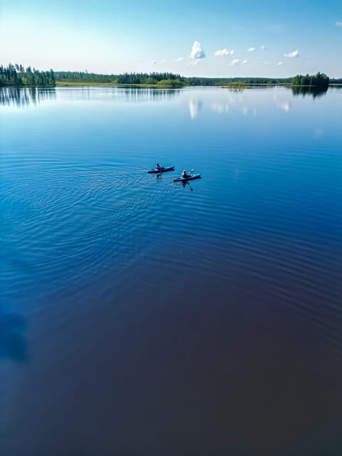 Rovaniemi: Guided Wilderness Kayaking Adventure - Price and value for about $117 per person