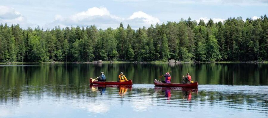 Rovaniemi: Guided Wilderness Kayaking Adventure - Gear, lifejackets, and that hot drink timing