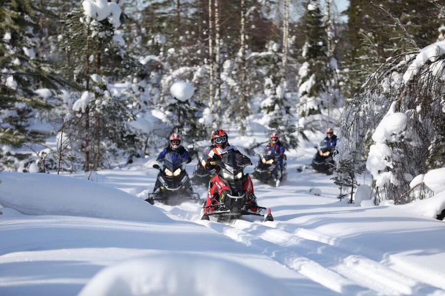 Rovaniemi: Guided Wilderness Snowmobile Ride - Should you book this Rovaniemi wilderness snowmobile ride?
