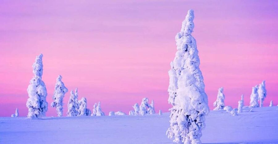 Rovaniemi: Half-Day Snowmobile & Ice Fishing Experience - Price and value: is $258 per person worth it?