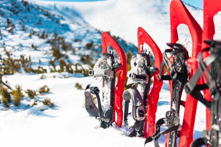 Rovaniemi: Hiking and Snowshoeing Adventure in Lapland - Key highlights that make this tour work