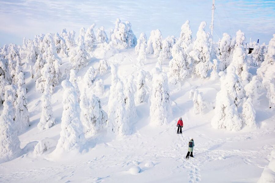 Rovaniemi: Hiking and Snowshoeing Adventure in Lapland - From hotel pickup to the start of the Arctic forest