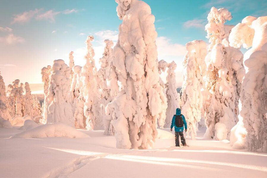 Rovaniemi: Hiking and Snowshoeing Adventure in Lapland - The warm finish: hot blueberry juice and Lappish gingerbread