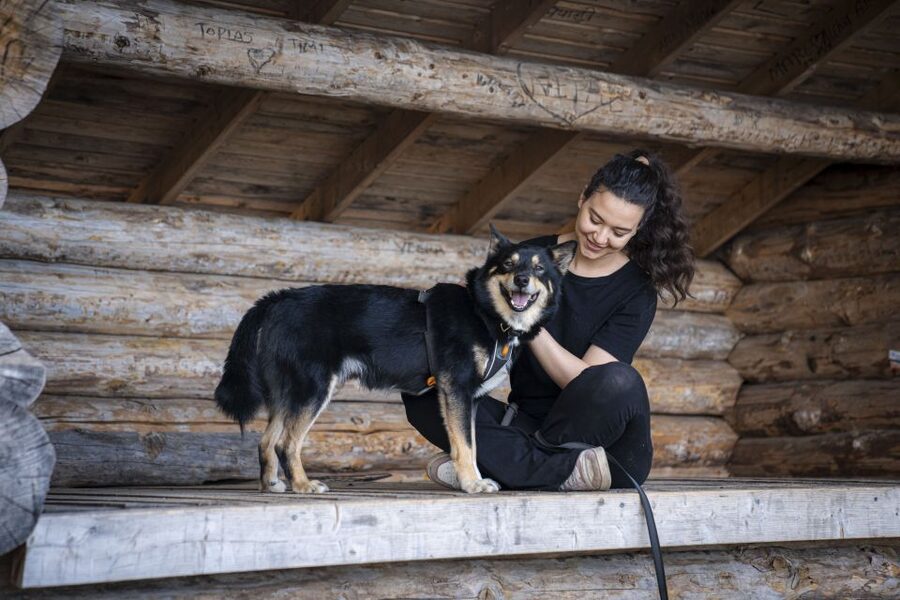 Rovaniemi: Hiking Experience with Lappish Dogs - Getting there from Rovaniemi center, and how the timing works