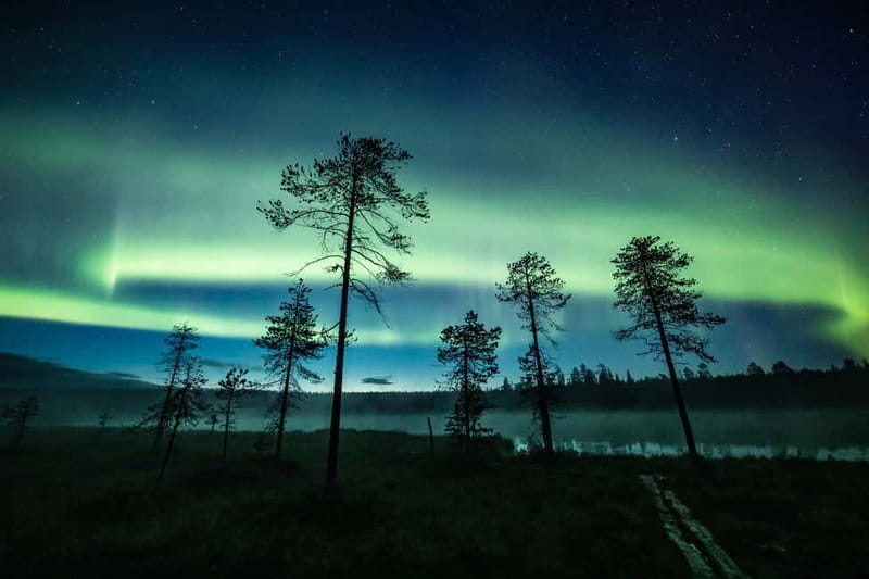 Rovaniemi: Horse Sleigh Ride under the Night Sky - Horse power under auroras: what this night ride really delivers