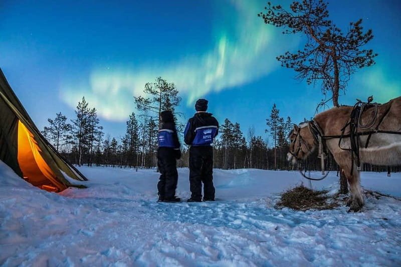 Rovaniemi: Horse Sleigh Ride under the Night Sky - The 3-hour rhythm in the dark: when you’ll actually be riding