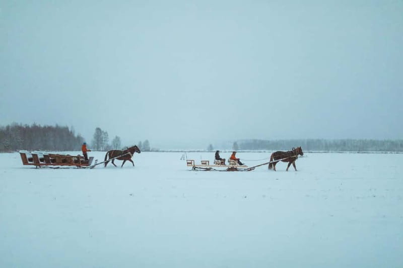 Rovaniemi: Horse Sleigh Ride under the Night Sky - Weather gear and comfort: what’s included, what you should still bring