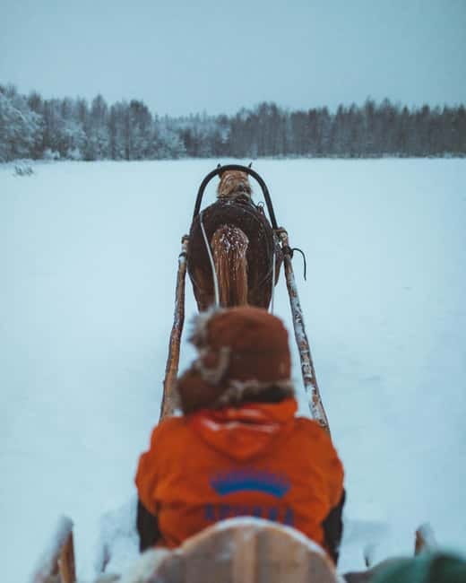 Rovaniemi: Horse Sleigh Ride under the Night Sky - Group dynamics: small sleighs, short walks, and who this suits