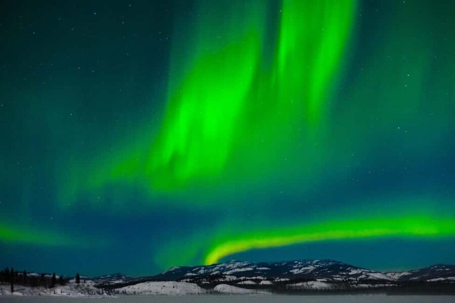 Rovaniemi: hunting for the Northern Lights with BBQ - Stop 2: the final photo stop plus short free time (about 20 minutes)