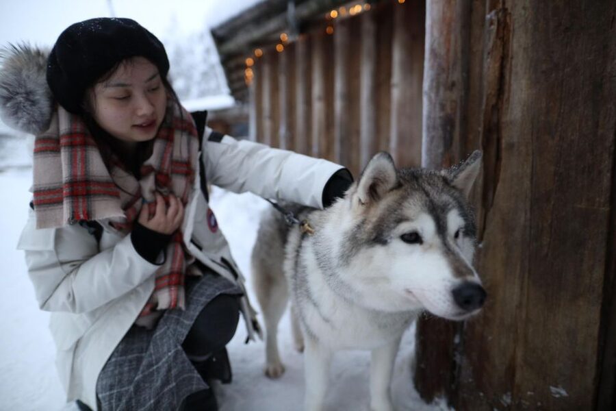 Rovaniemi: Husky and reindeer farm visit with sleigh rides - Reindeer farm: feeding, learning, and a calmer kind of magic