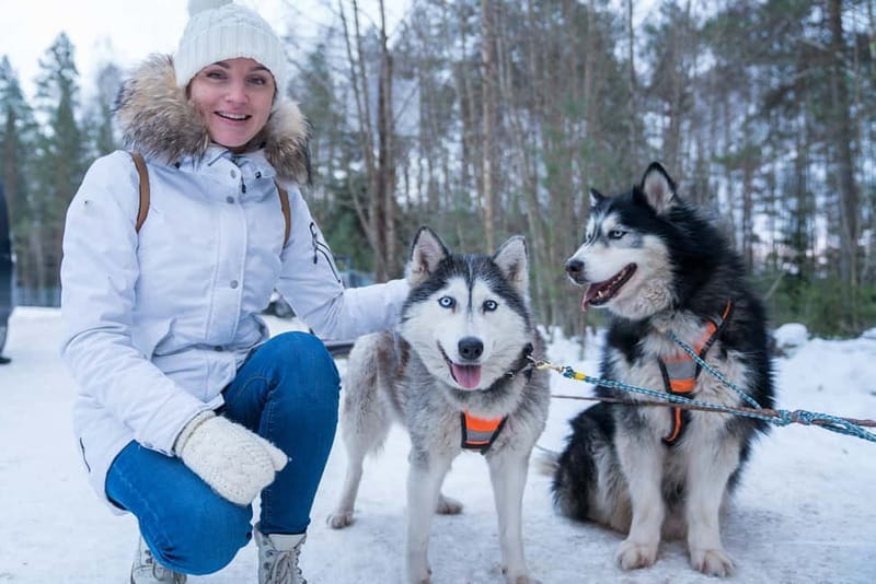 Rovaniemi: Husky Farm and Reindeer Experience - Reindeer Manor, 20 Minutes From Town