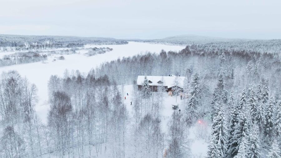 Rovaniemi: Husky Farm Visit with a Sledge Ride - Group Size, Timing, and What Can Go Slightly Wrong
