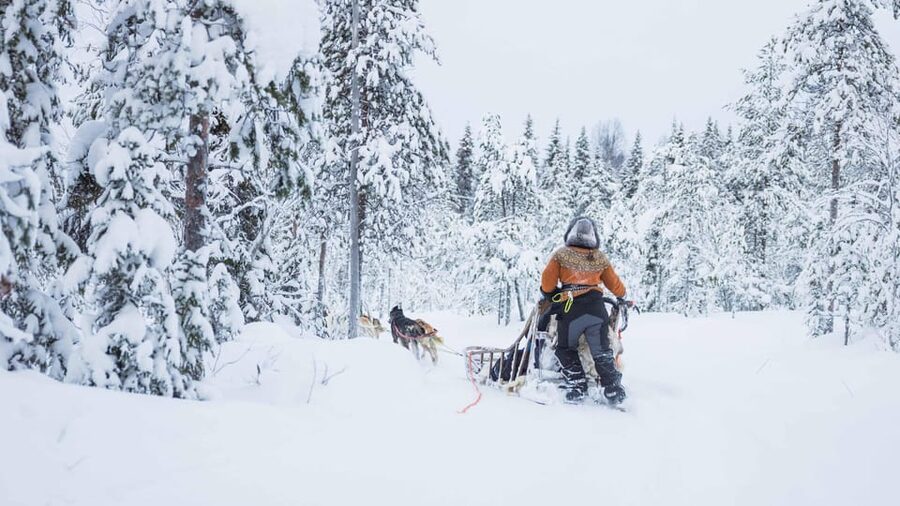 Rovaniemi: Husky Farm Visit with a Sledge Ride - The 2-Hour Flow in Rovaniemi, From Meeting Point to Sleigh Time