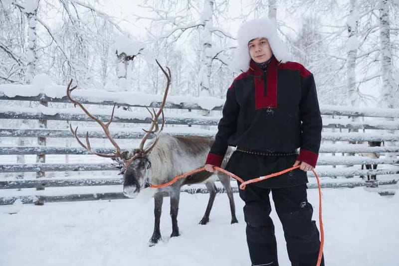 Rovaniemi: Husky & Reindeer Experience with Snowmobile Ride - Key Highlights Worth Planning For