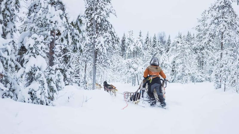 Rovaniemi: Husky & Reindeer Experience with Snowmobile Ride - The Included Gear That Saves Your Trip