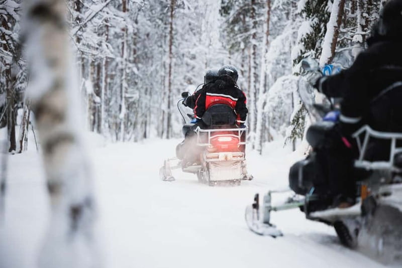 Rovaniemi: Husky & Reindeer Experience with Snowmobile Ride - Snowmobile Rules, Training, And The Big One: Your License
