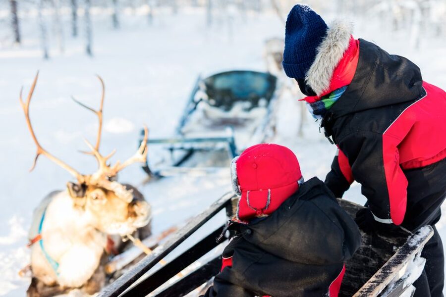 Rovaniemi: Husky & Reindeer Experience with Snowmobile Ride - What Happens Before You Drive: Instruction In The Cold