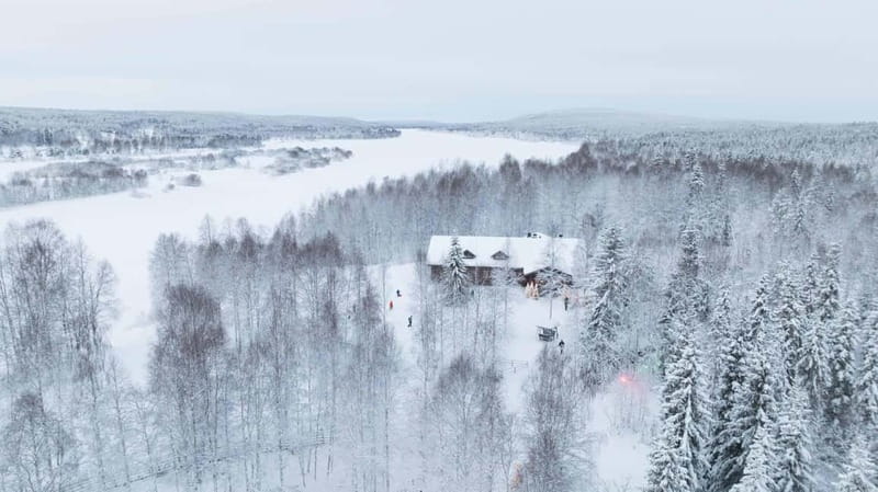 Rovaniemi: Husky & Reindeer Experience with Snowmobile Ride - Photos, Guides, And The Human Side Of Winter Adventure