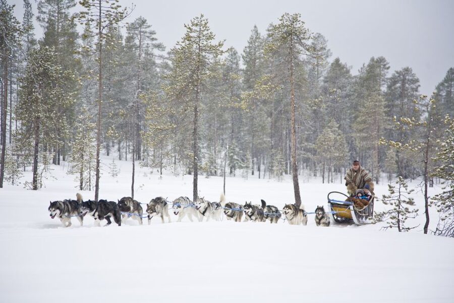 Rovaniemi: Husky & Reindeer Experience with Snowmobile Ride - The Husky And Reindeer Farm Stop: Where The Pace Changes