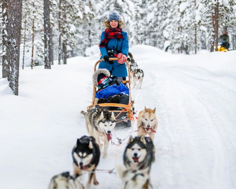 Rovaniemi: Husky Safari on a Snowy Trail - Logistics That Matter: Group Size, Time Variations, and Comfort