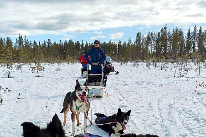 Rovaniemi Husky Safari - Self Drive Adventure 6-10km + BBQ - Key highlights you should care about