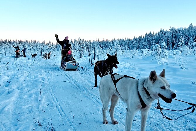 Rovaniemi Husky Safari - Self Drive Adventure 6-10km + BBQ - Dog time after the ride: hugs, explanations, and cared-for energy