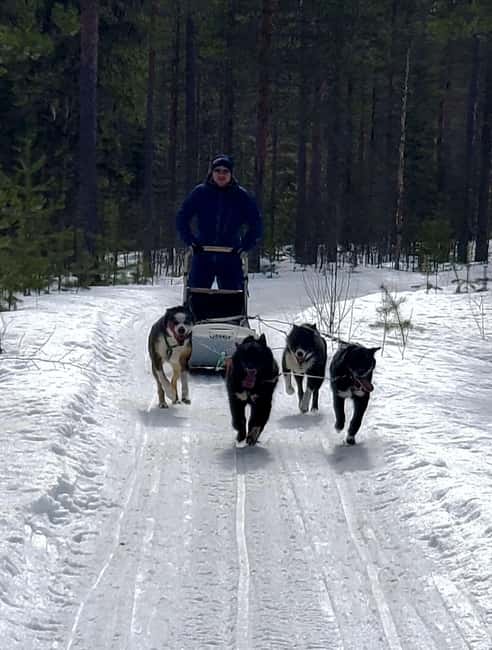 Rovaniemi: Husky Safari with Transfers & BBQ - Safety briefing and how the driving actually works