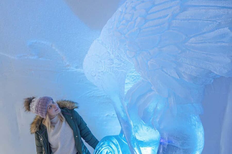 Rovaniemi: Ice sculpting experience with Transfers - Behind-the-scenes ice storage tour: the practical side of winter art