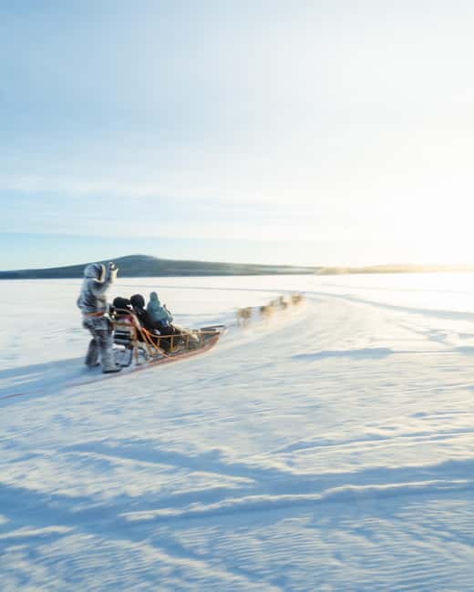 Rovaniemi: Insider 10 km Husky Sled Ride - Photos and husky time: the best moments are before and after