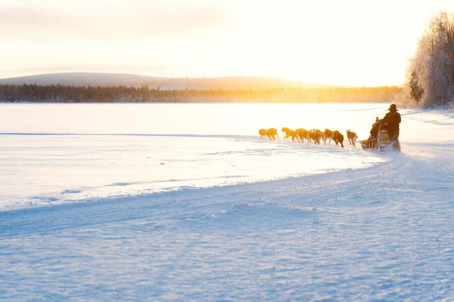 Rovaniemi: Insider 10 km Husky Sled Ride - Thermal gear fitting: what keeps you comfortable at -25 C vibes