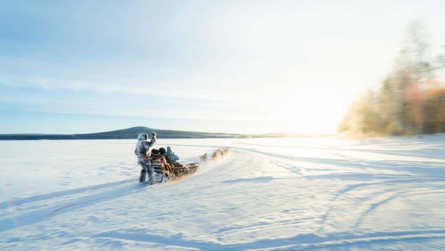 Rovaniemi: Insider 5km Husky Self Drive Tour - Pickup to the farm: transfers, timing, and how the day moves