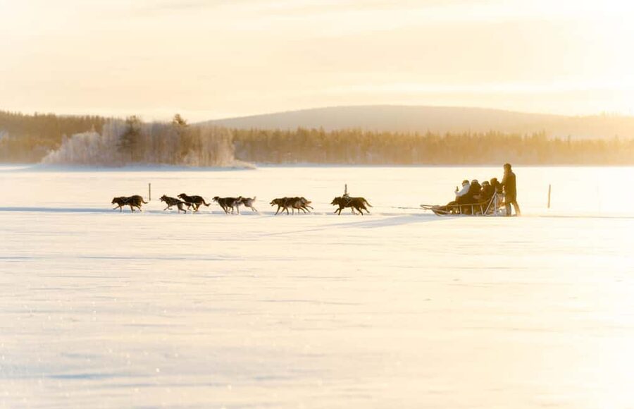 Rovaniemi: Insider 5km Husky Self Drive Tour - On the trail: what your 5 km self-drive ride is really like