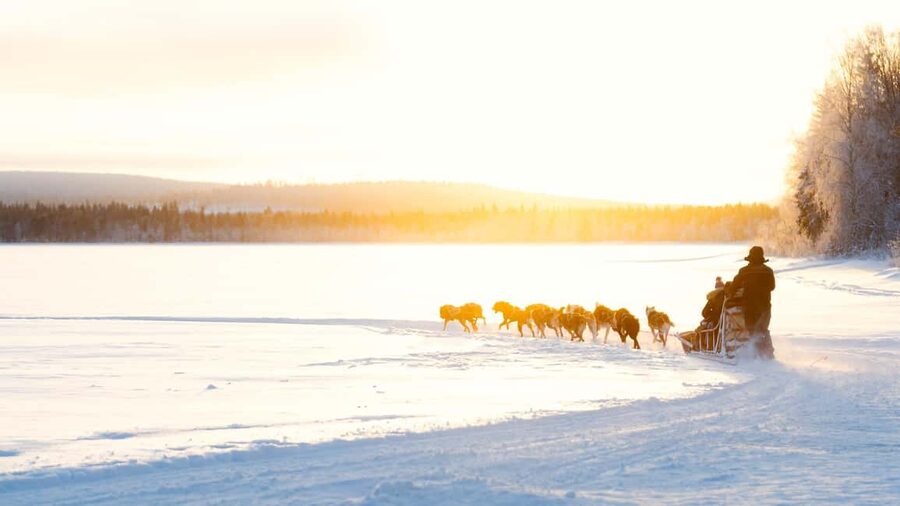 Rovaniemi: Insider 5km Husky Self Drive Tour - Gear up fast: thermal suits, what to wear, and how cold stays manageable