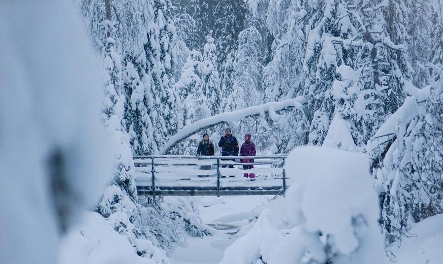 Rovaniemi: Korouoma Canyon Frozen Waterfalls Guided Hike - Who should book this Korouoma canyon hike