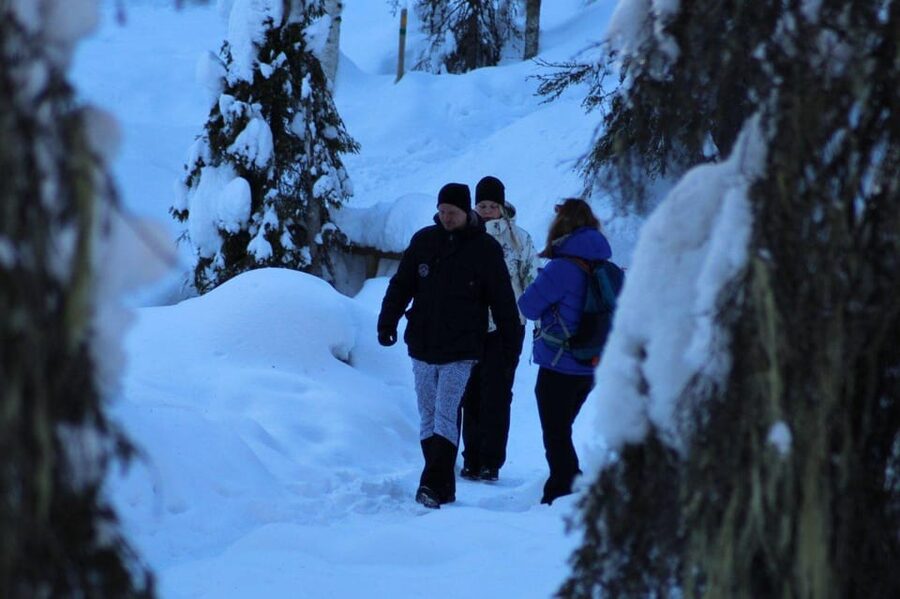 Rovaniemi: Korouoma Canyon Frozen Waterfalls Guided Hike - Winter walking tips that make the difference