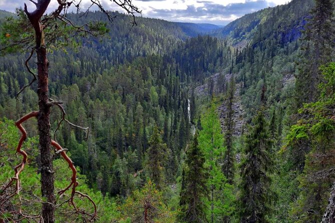 Rovaniemi Korouoma Canyon Hike and Barbecue Experience - Key things to know before you go