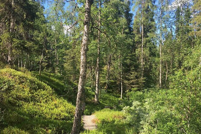 Rovaniemi Korouoma Canyon Hike and Barbecue Experience - Getting there from Rovaniemi, and what pickup changes for your day