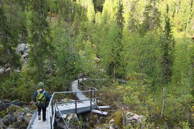 Rovaniemi Korouoma Canyon Hike and Barbecue Experience - The 4 to 6 km Korouoma Canyon hike: pacing, footing, and viewpoints