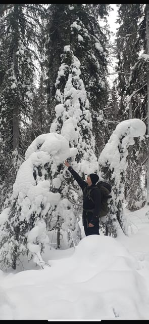 Rovaniemi: Korouoma Frozen Waterfalls Hike & Hot BBQ Lunch - Korouoma Canyon in Winter: Ice Waterfalls You Can Actually Walk Through