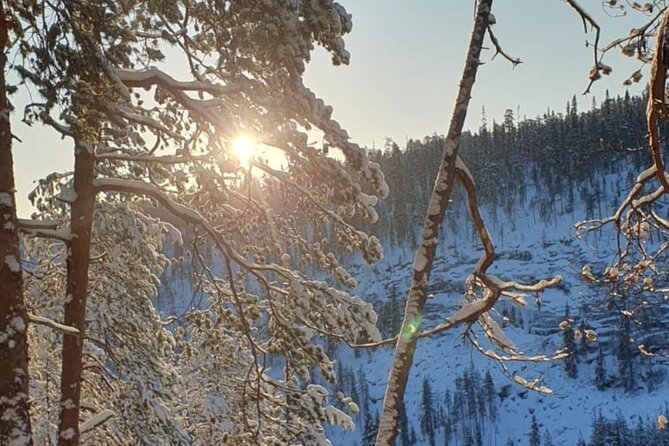Rovaniemi: Korouoma Frozen Waterfalls Hike with Hot BBQ Lunch - Frozen waterfall viewpoints: what you’re chasing and how to get the best photos
