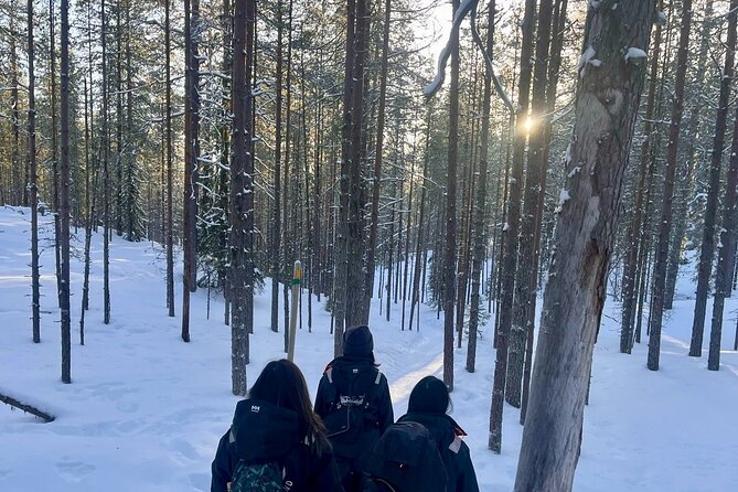 Rovaniemi: Korouoma Frozen Waterfalls Hike with Hot BBQ Lunch - What can affect your experience: cold, ice, and time outdoors