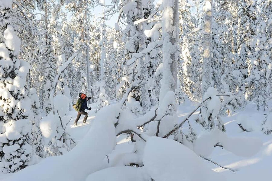Rovaniemi: Korouoma Wilderness Café’s Icefall Tour and Lunch - Why Korouoma Icefalls Feel Different in Winter