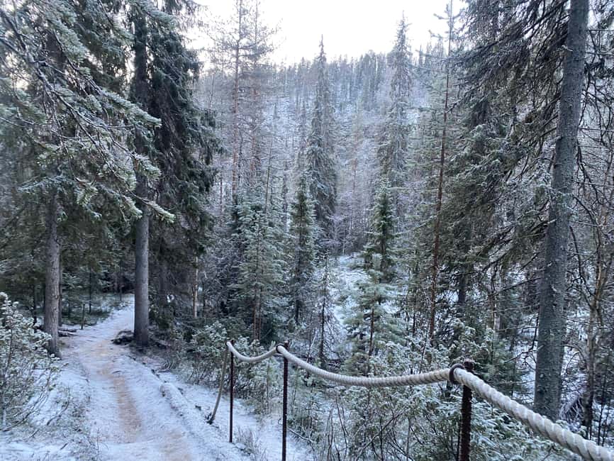 Rovaniemi: Korouoma Wilderness Café’s Icefall Tour and Lunch - Local Guides and Lapland Stories That Add Meaning